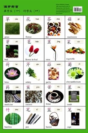 Radical: Grass & Bamboo (Poster)