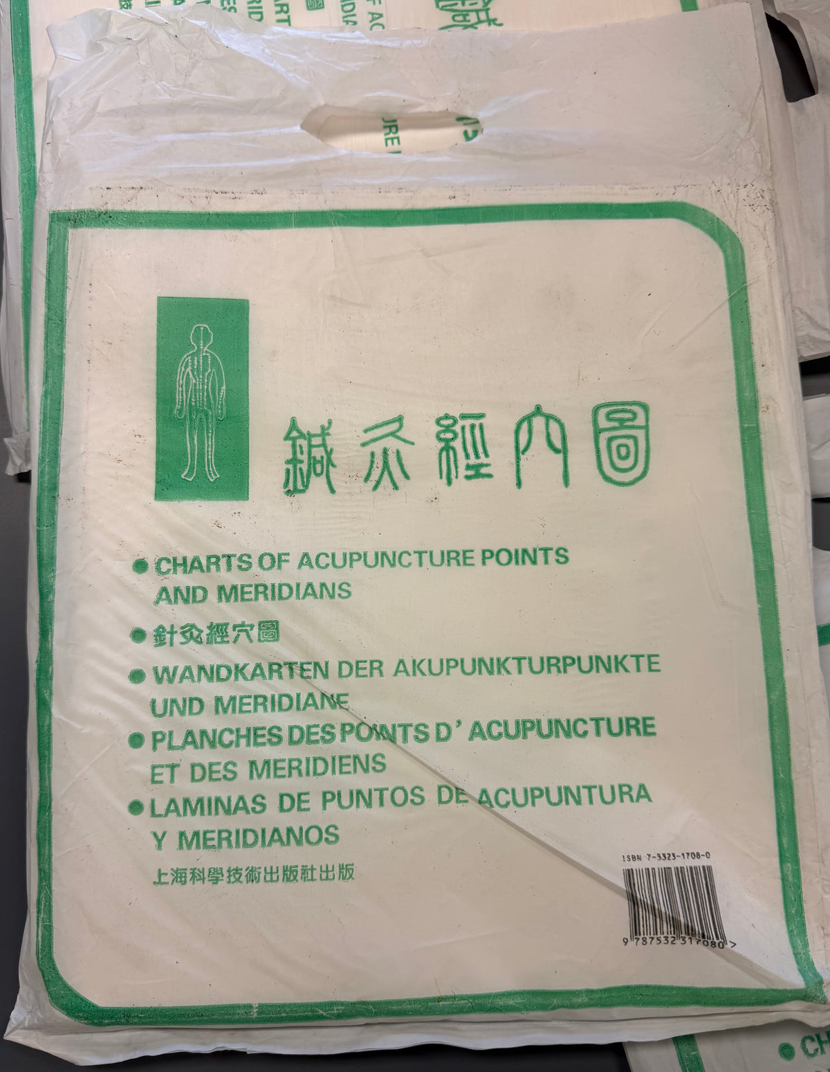 针灸经穴图 Charts of Acupuncture Points