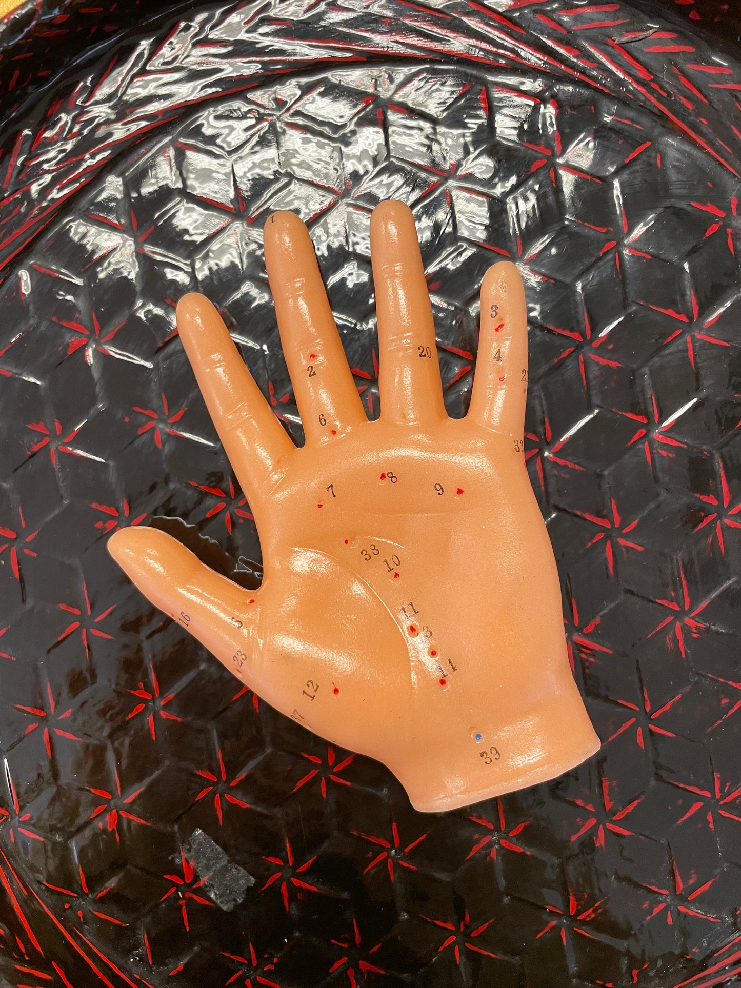 Acupuncture Point Model - Left Hand