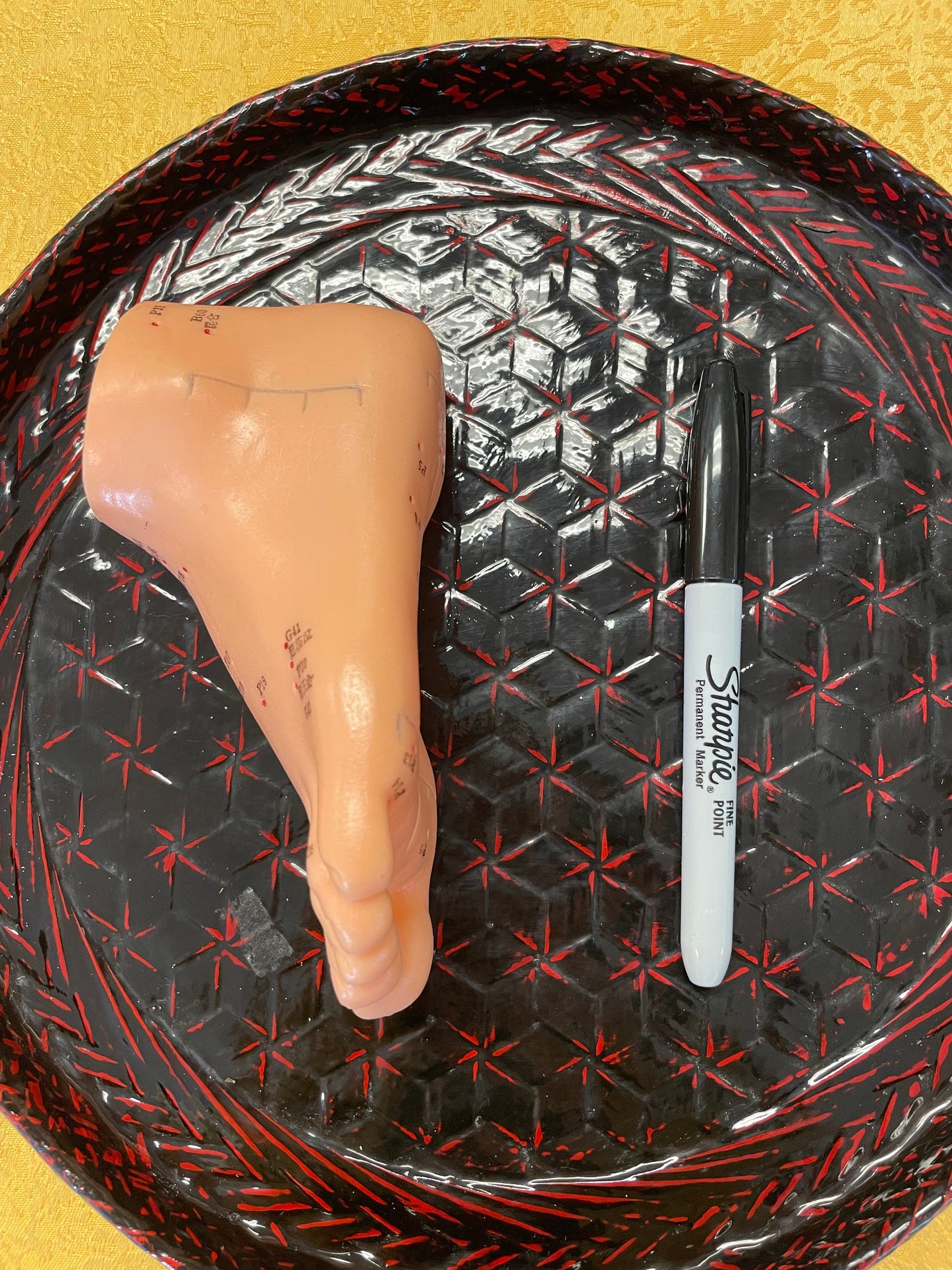 Acupuncture Point Model - Left Foot