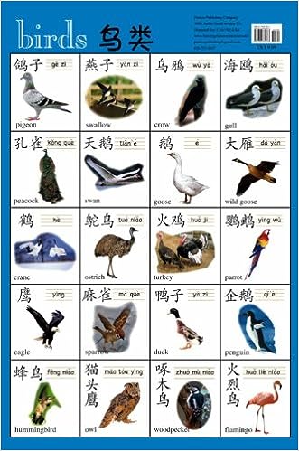 Radical: Birds (Poster)