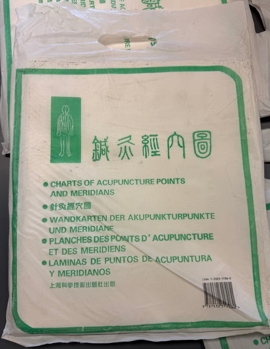 针灸经穴图 Charts of Acupuncture Points