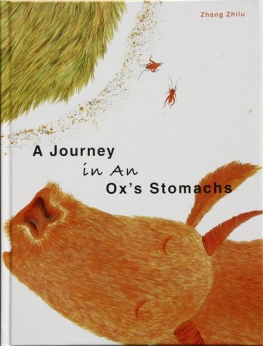 A Journey in an Ox's Stomachs